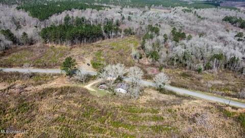 dry creek road, Magee, MS 39111 photo 8
