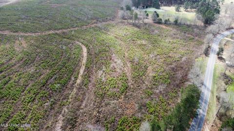 dry creek road, Magee, MS 39111 photo 7