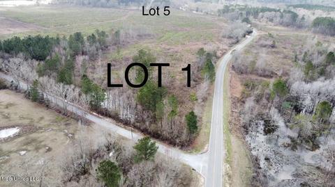 dry creek road, Magee, MS 39111 photo 23