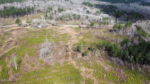 dry creek road, Magee, MS 39111 photo 21