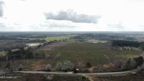 dry creek road, Magee, MS 39111 photo 6
