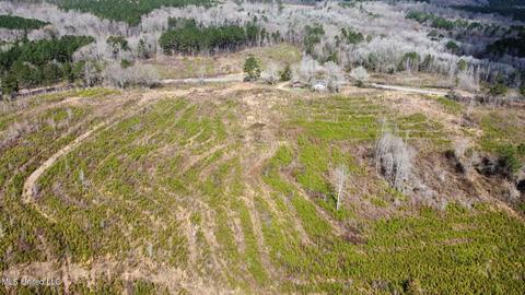 dry creek road, Magee, MS 39111 photo 20
