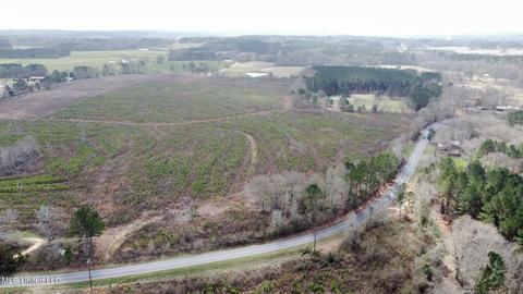 dry creek road, Magee, MS 39111 photo 16