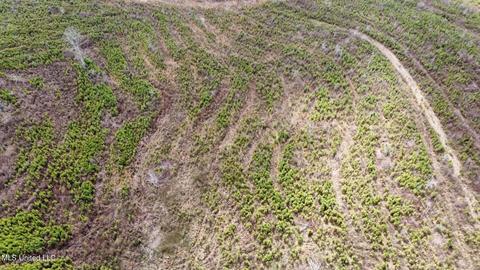 dry creek road, Magee, MS 39111 photo 18