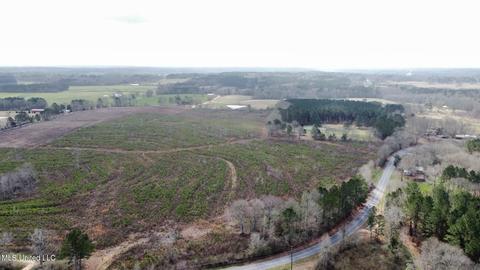 dry creek road, Magee, MS 39111 photo 14