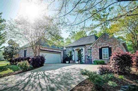 220 Turtle Ln, Brandon, MS 39047 photo 1