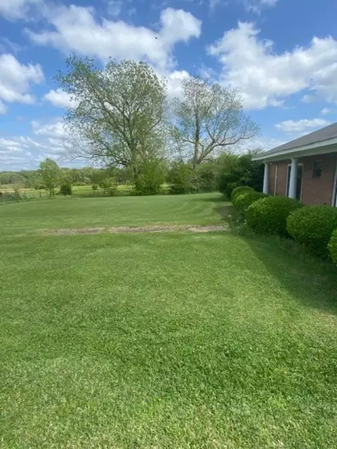 6525 Ebenezer - Pickens Rd, Pickens, MS 39146 photo 7