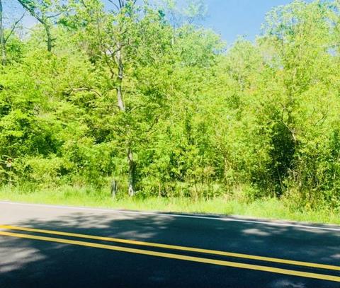 0 Old Whitfield Rd #0, Pearl, MS 39208