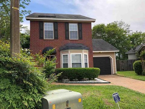 11 Stanford Ct, Jackson, MS 39211 photo 2