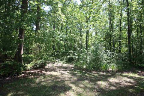 123 Windsor Blvd, Brandon, MS 39042 photo 28