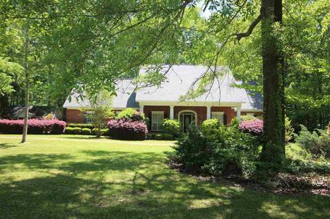 123 Windsor Blvd, Brandon, MS 39042 photo 5
