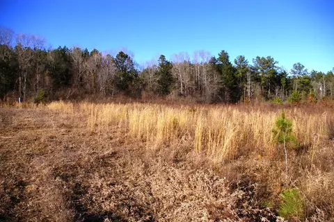3172 W Topisaw Rd N, Ruth, MS 39662 photo 5