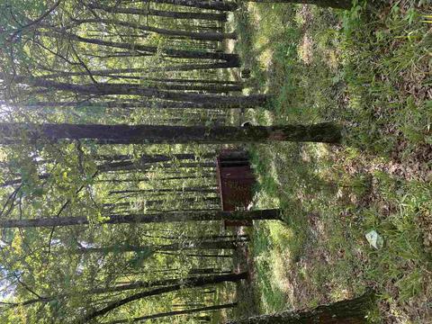 7695 Jackson - Raymond Rd, Raymond, MS 39154 photo 22