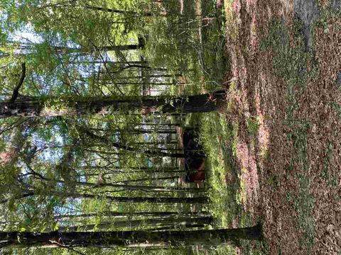 7695 Jackson - Raymond Rd, Raymond, MS 39154 photo 19