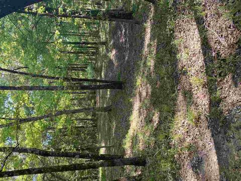 7695 Jackson - Raymond Rd, Raymond, MS 39154 photo 20