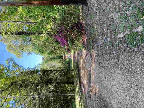 7695 Jackson - Raymond Rd, Raymond, MS 39154 photo 17