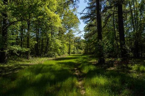 885 Burrell Rd, Goodman, MS 39079 photo 25