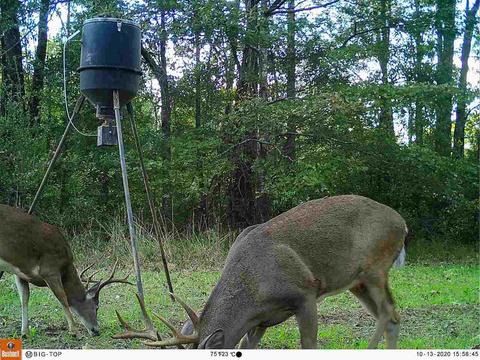 885 Burrell Rd, Goodman, MS 39079 photo 10