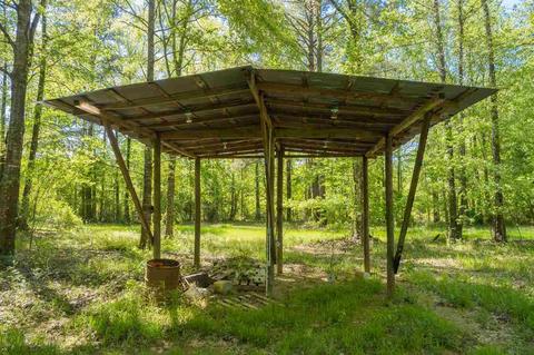 885 Burrell Rd, Goodman, MS 39079 photo 17