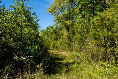 885 Burrell Rd, Goodman, MS 39079 photo 30