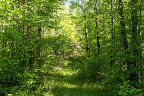 885 Burrell Rd, Goodman, MS 39079 photo 28