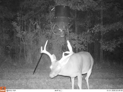 885 Burrell Rd, Goodman, MS 39079 photo 9