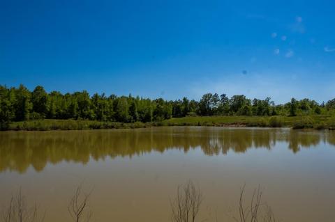 885 Burrell Rd, Goodman, MS 39079 photo 22