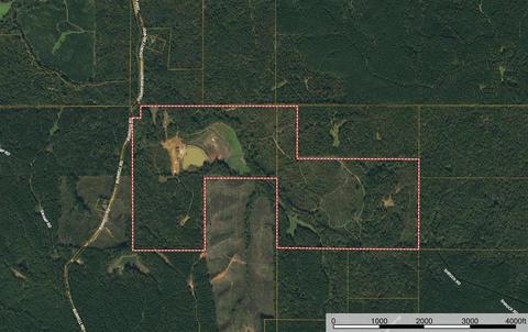 885 Burrell Rd, Goodman, MS 39079 photo 1