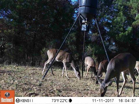 885 Burrell Rd, Goodman, MS 39079 photo 21