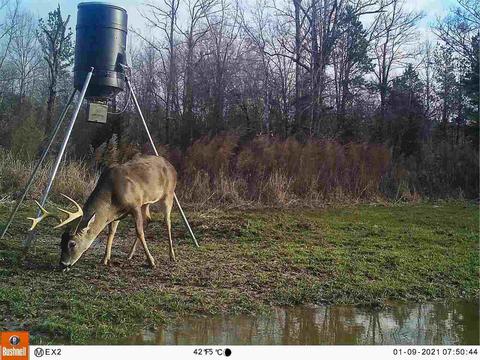 885 Burrell Rd, Goodman, MS 39079 photo 7