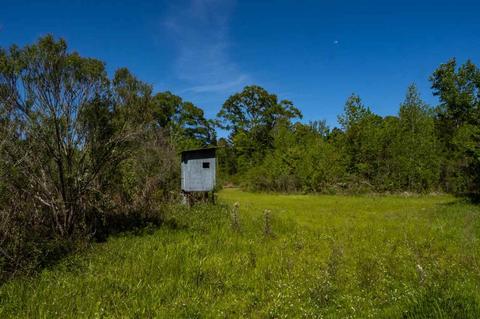 885 Burrell Rd, Goodman, MS 39079 photo 26