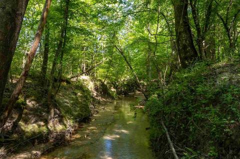 885 Burrell Rd, Goodman, MS 39079 photo 32