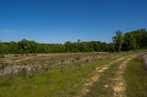885 Burrell Rd, Goodman, MS 39079 photo 23