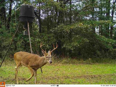 885 Burrell Rd, Goodman, MS 39079 photo 11