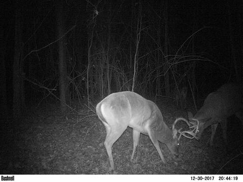 885 Burrell Rd, Goodman, MS 39079 photo 15