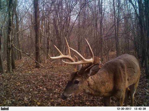 885 Burrell Rd, Goodman, MS 39079 photo 18