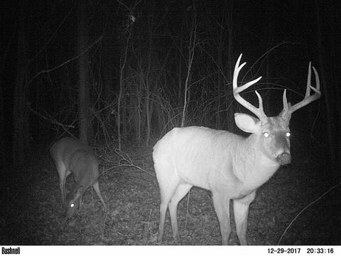 885 Burrell Rd, Goodman, MS 39079 photo 19