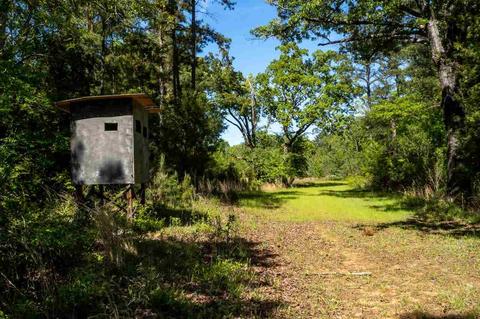 885 Burrell Rd, Goodman, MS 39079 photo 29