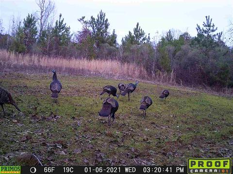 885 Burrell Rd, Goodman, MS 39079 photo 8