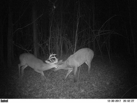 885 Burrell Rd, Goodman, MS 39079 photo 20