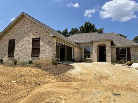 1043 Silver Cir, Pearl, MS 39208 photo 1