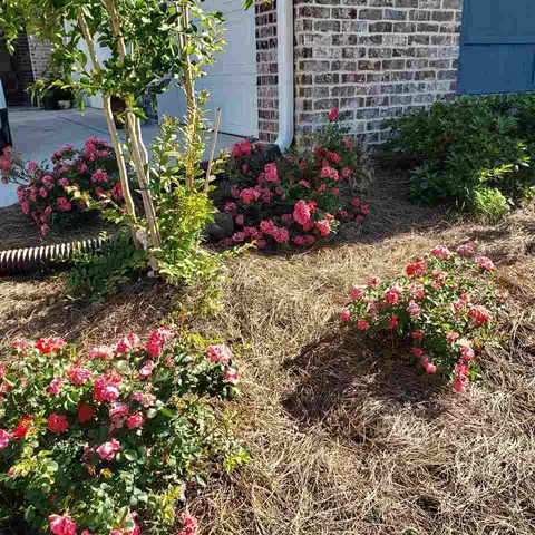 1103 Keeling Way, Brandon, MS 39047 photo 34