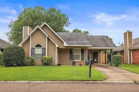 207 Falcon Cv, Brandon, MS 39047 photo 1
