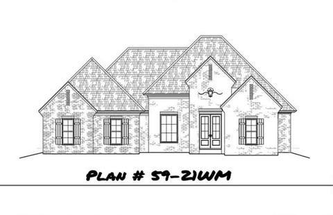 213 Ashbury Cv, Canton, MS 39046 photo 1
