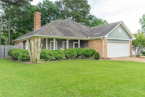 219 Mandarin Dr, Brandon, MS 39047 photo 2
