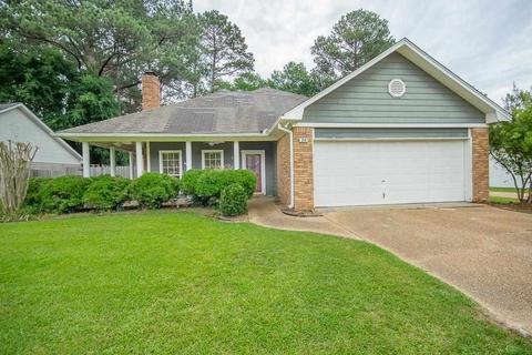 219 Mandarin Dr, Brandon, MS 39047 photo 1