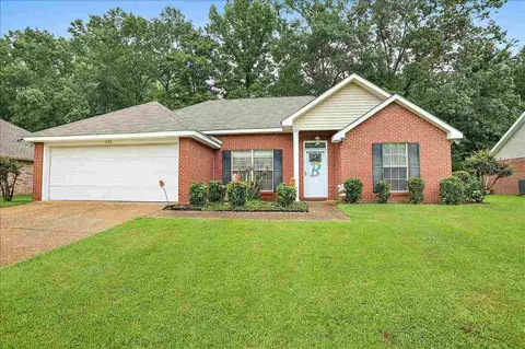 336 Willow Bay Dr, Byram, MS 39272 photo 1