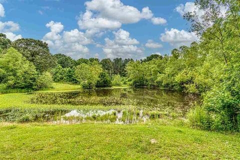 198 Waldrop Rd, Flora, MS 39071 photo 19
