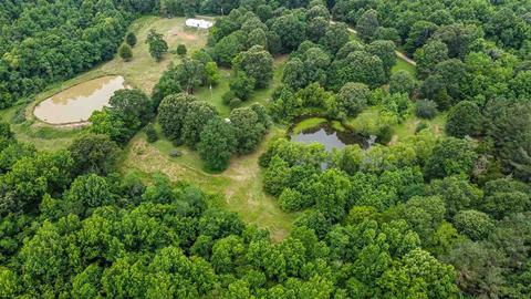 198 Waldrop Rd, Flora, MS 39071 photo 10