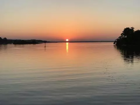 115 Swallow Dr, Brandon, MS 39047 photo 41